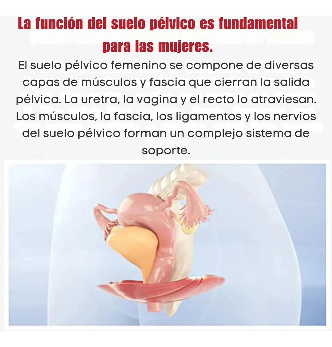 Masajeador Fortalecedor Del Suelo Pélvico Para Mujeres Pro Turquesa